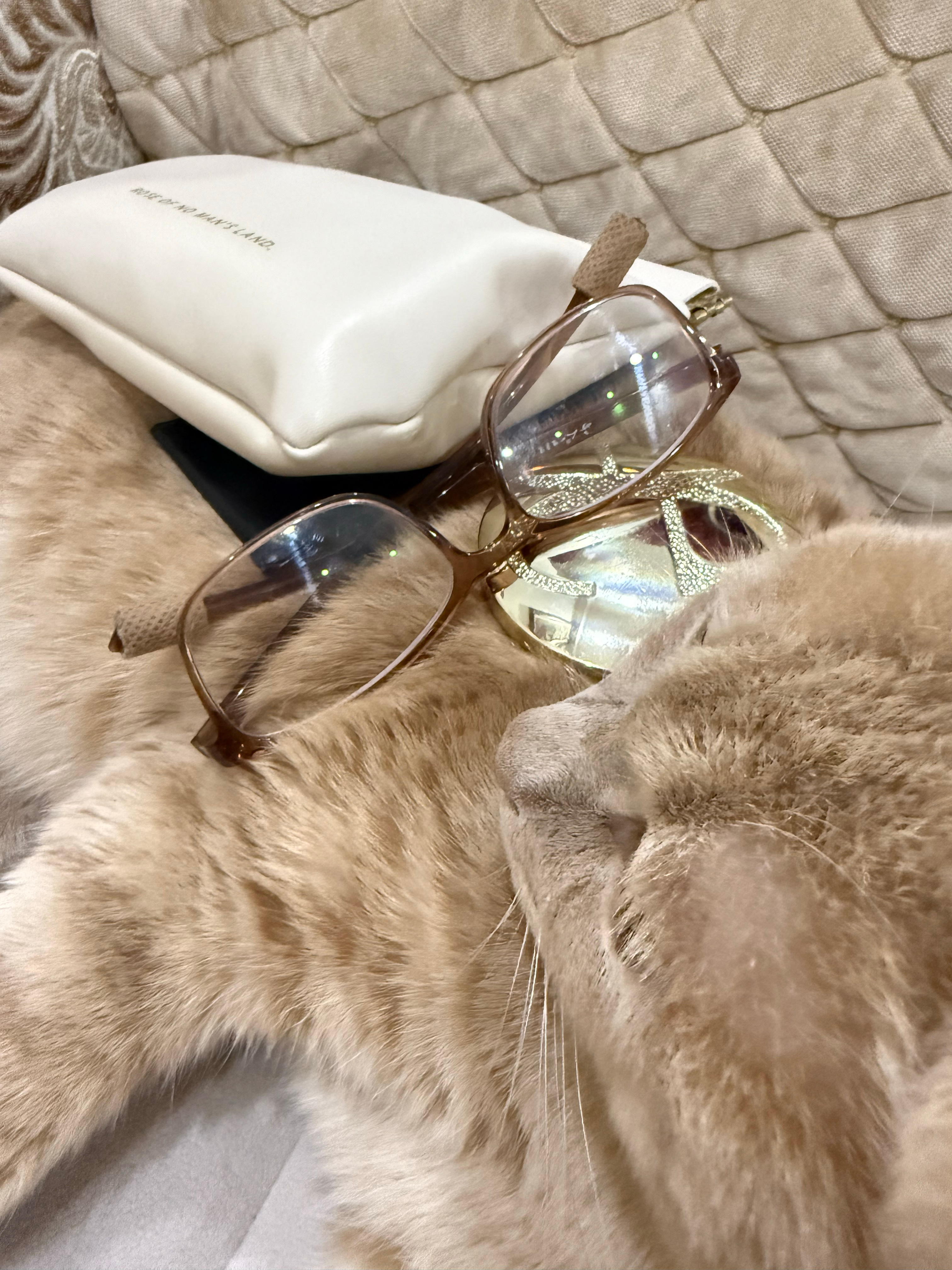 猫 没有一根毛想跟你好橘子来了不得不拿出新置办的猫猫茶几，全新，不出，就是给大家