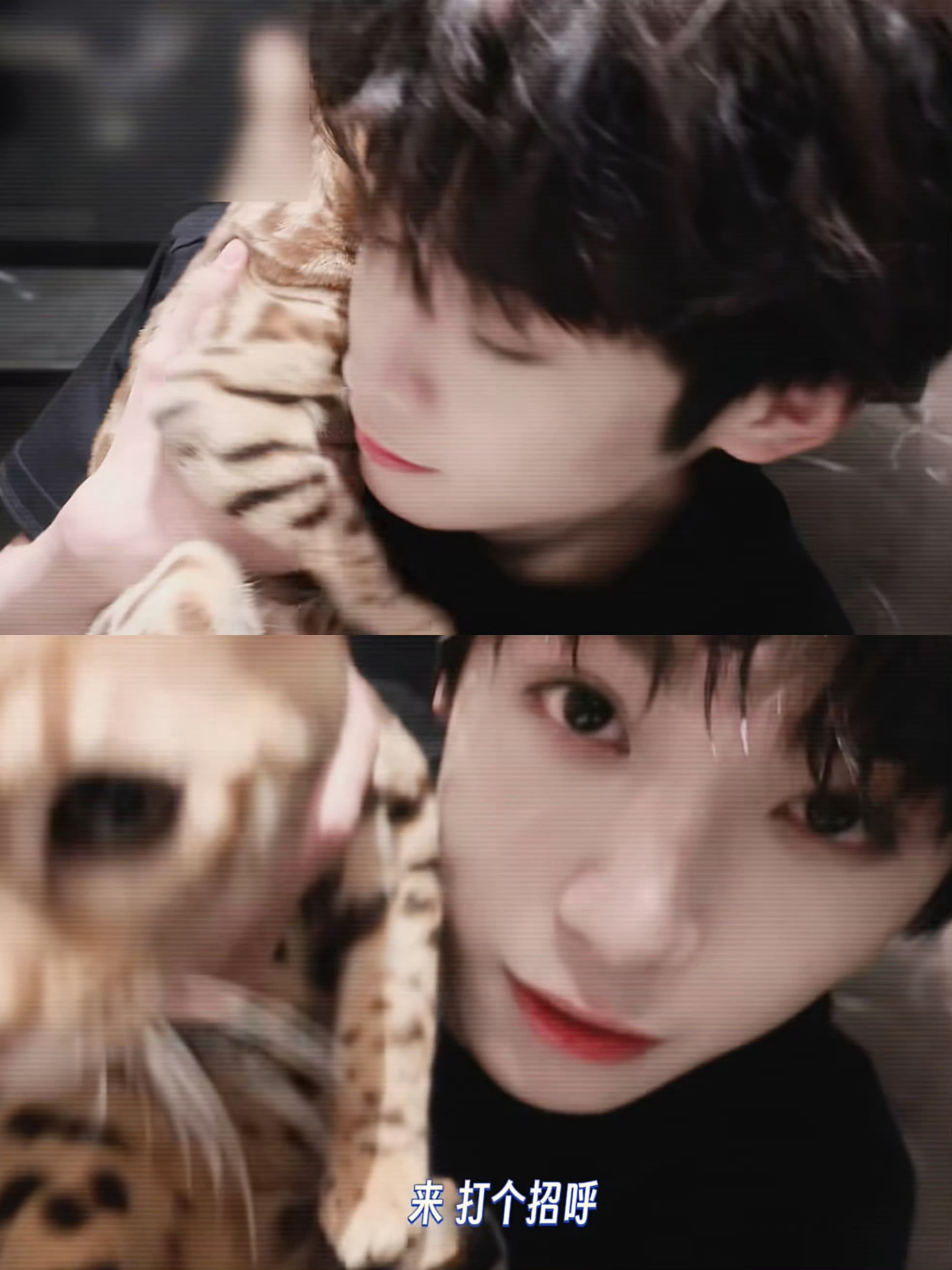 梓渝工作室vlog我们大鱼也是有幼年体赏味期的 