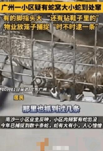 真的要被气笑！女生跟男友接吻后明确说“不要”，男生直接甩脸摔门，结果女生反倒整夜