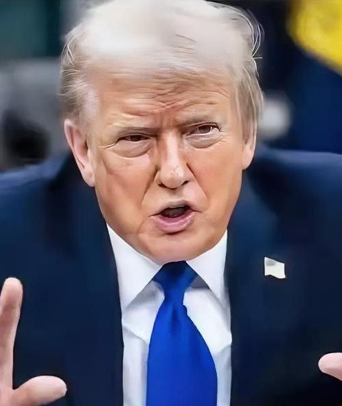 熊猫毫不示弱地反击，特朗普挥舞的关税大棒这下可踢到铁板上了！这位商人出身的总统，