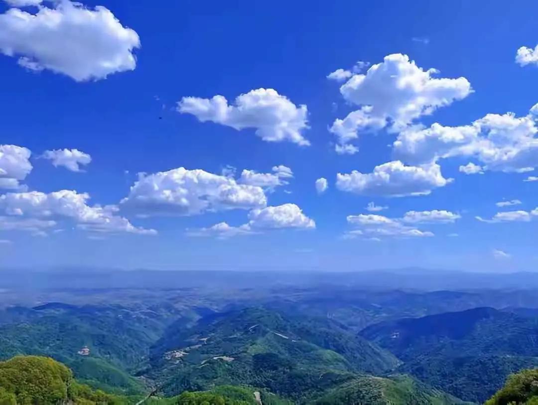 冠云雄风
