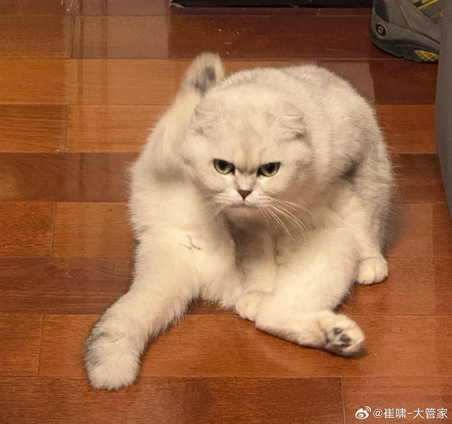 尊敬的，这日子口玩饥饿营销，谁给您的勇气？梁静茹还是光良还是庾澄庆还是迪克牛仔还