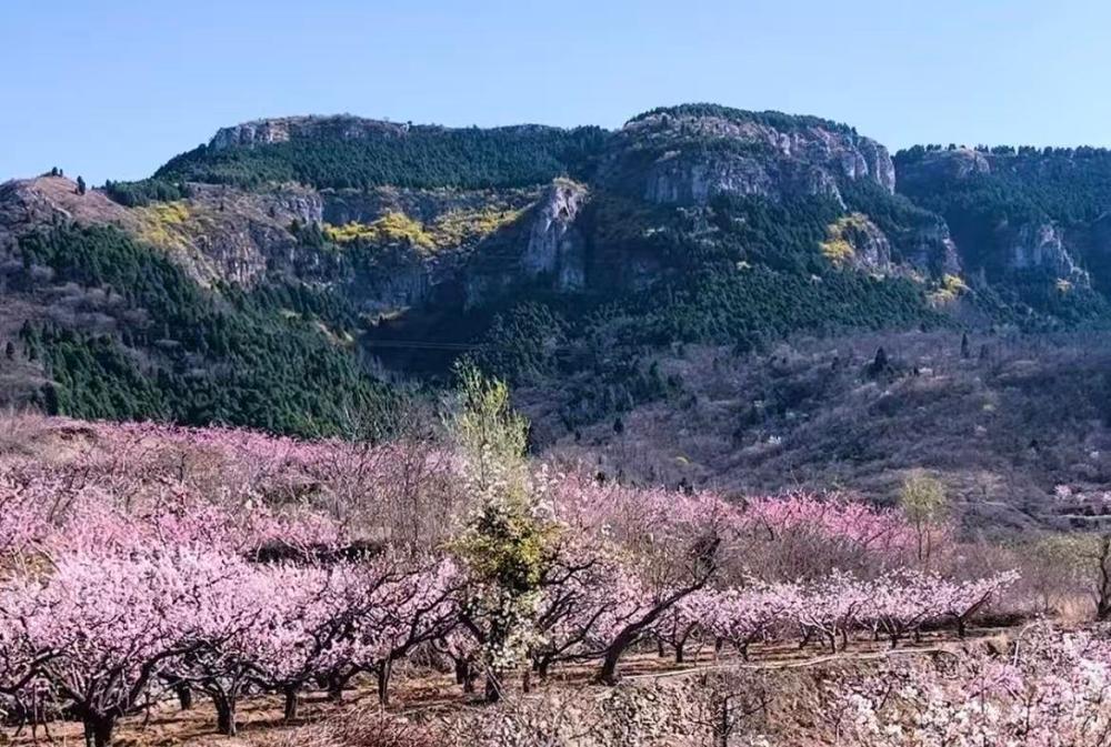 从“有景可看”到“有感可享”，济南这样升级公共服务！清明时节，草长莺飞。假期前夕