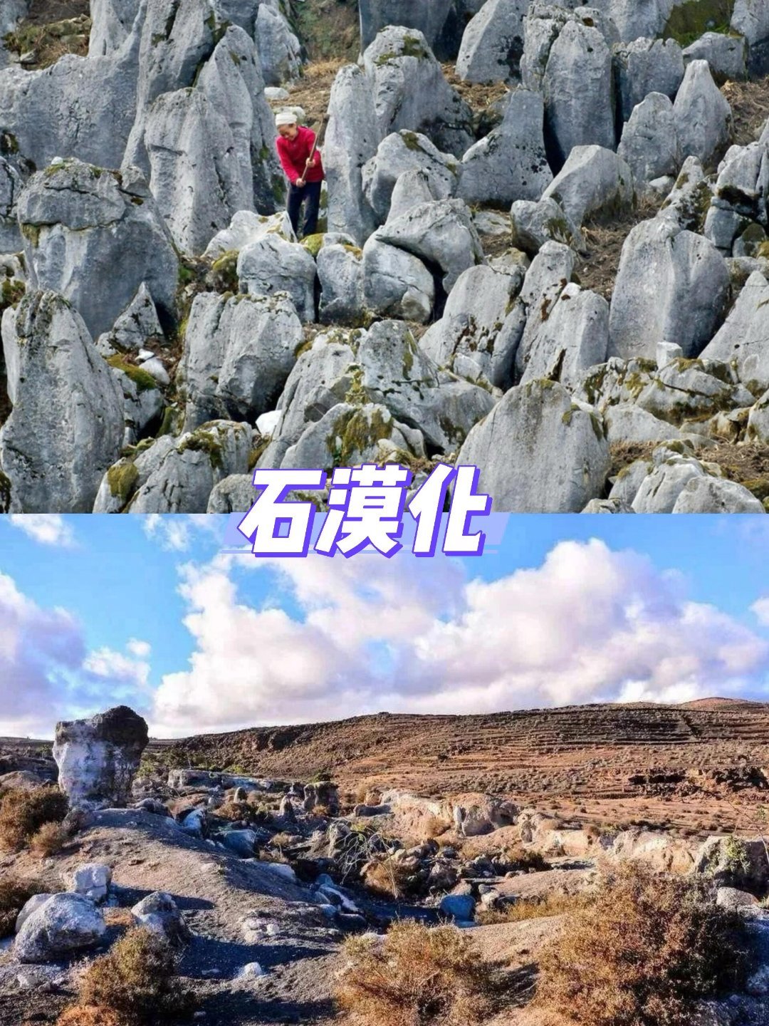地质科普石漠化科普一、定义石漠化，即石质荒漠化，水土流失致土壤流失、基岩裸露，土