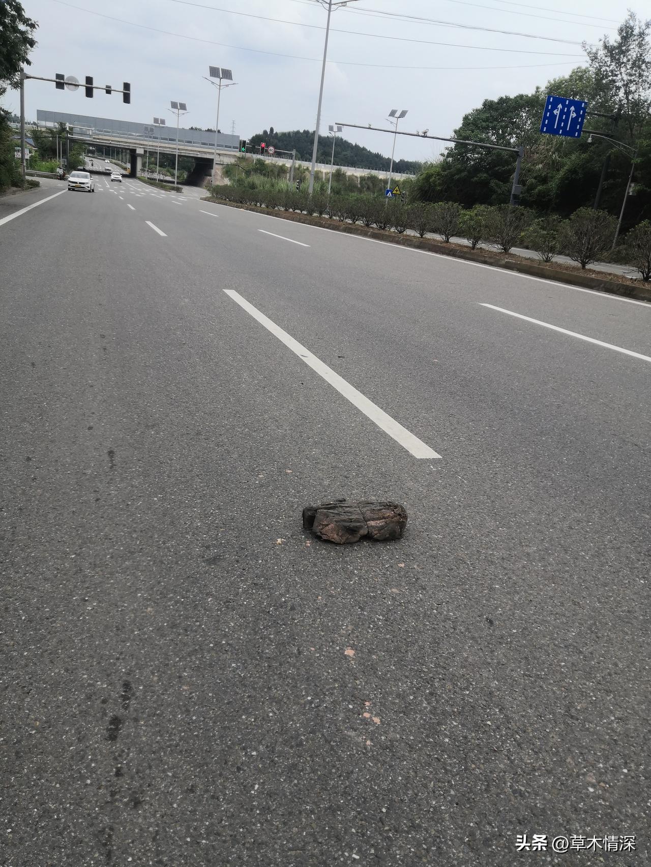近日，在金堂县金堂大道黄桶垭，高速路下面红灯十字路口子边，也许是向转龙方向走吧，