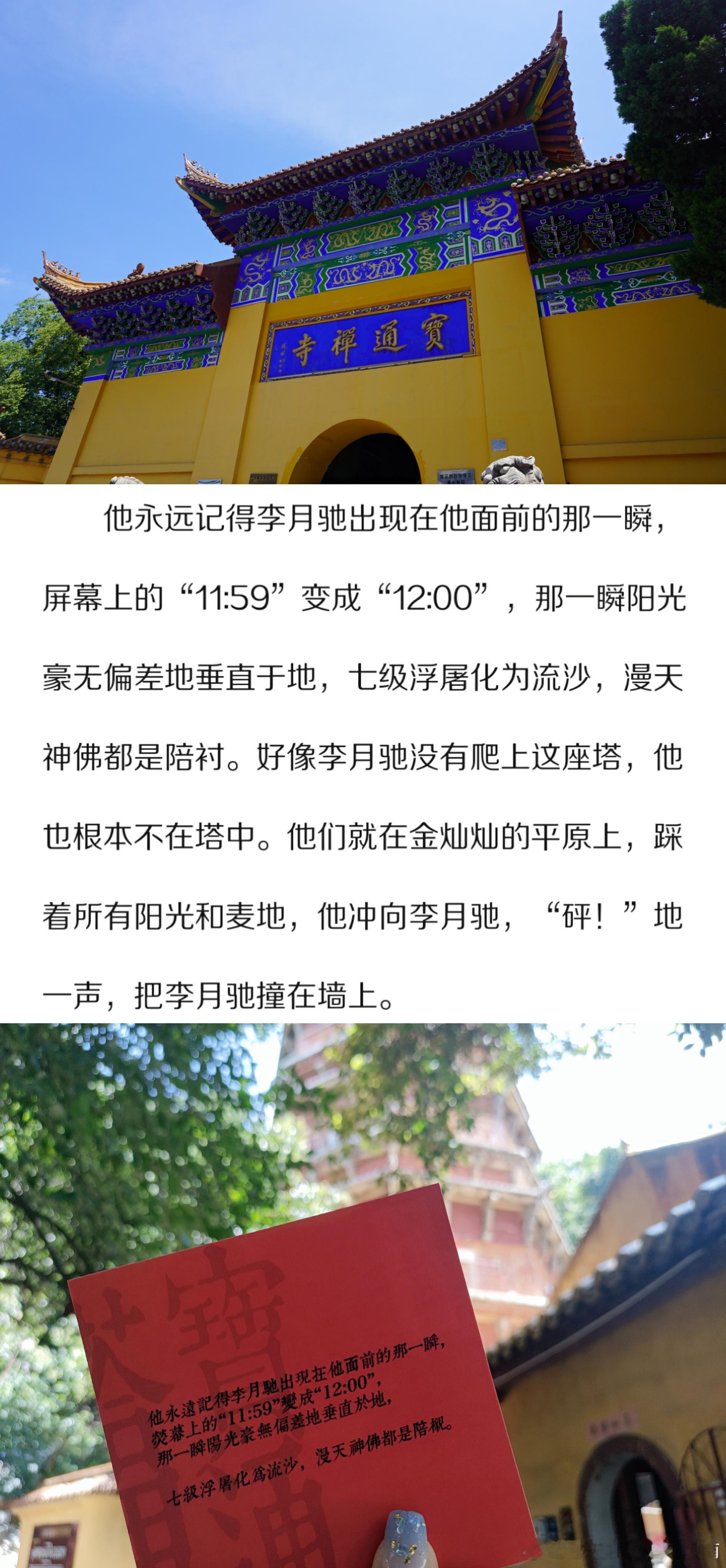 楚天以南🔅武汉＿夏“七月炙热，夏夜晚风，像一首诗那样” 爱是百折不挠。 