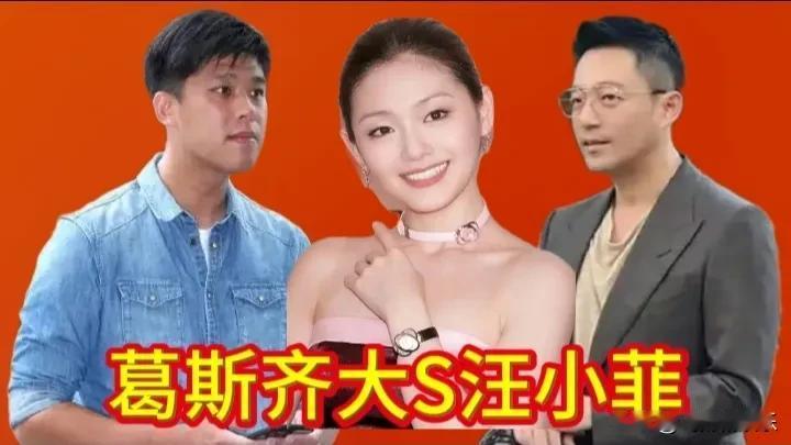 葛思齐记者为什么揪住S家小辩子不放？

       在大小S与汪小菲家相关事务