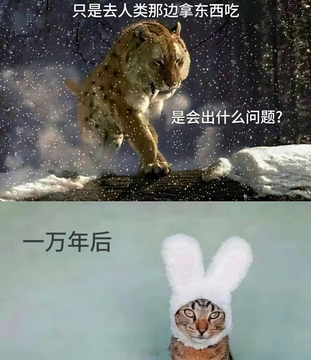 [笑cry] ​​​