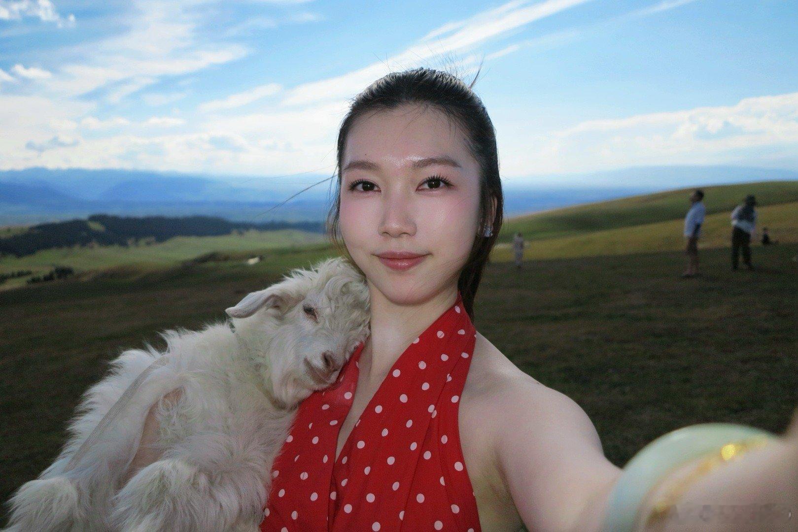 在无尽绿里过夏天  ​​​