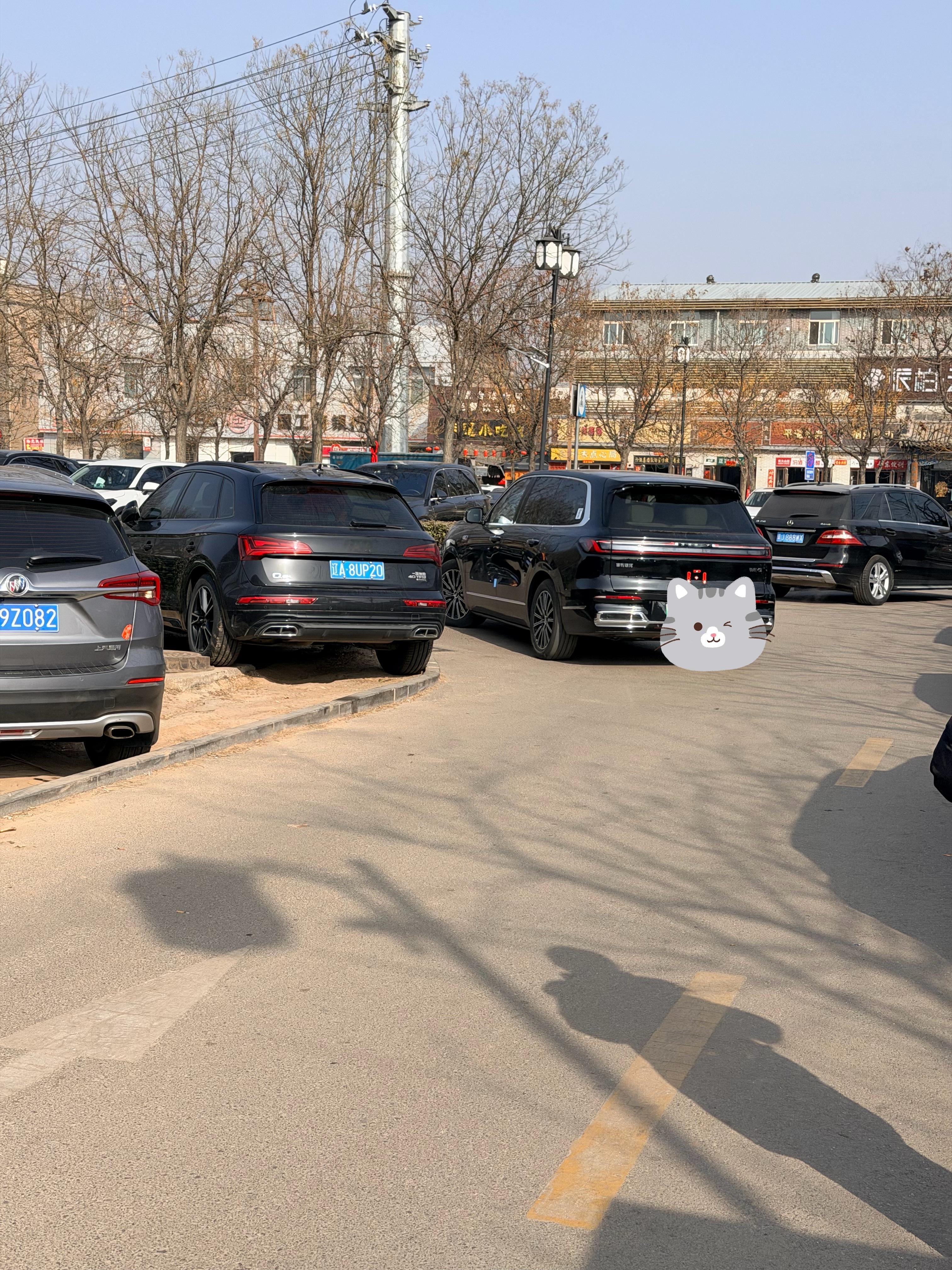 吉利银河 E5需哦出租车，还真挺好。旁边大哥银河 M9，带着一家人出行。 