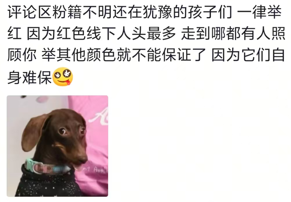 很有道理，线下犹豫灯牌的宝宝最好举红，红色毫无疑问是线下安全牌，只要举红，能收获