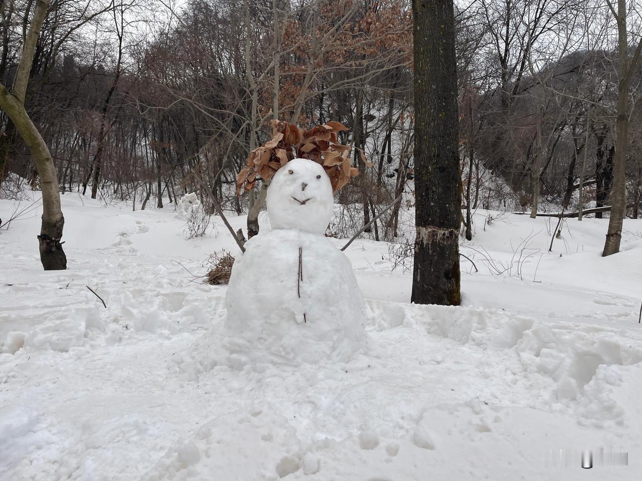 【七律•萧萧暮雪送隆冬】
萧萧暮雪送隆冬，去岁年华烙梦中。
暖带春风盈满袖，寒辞