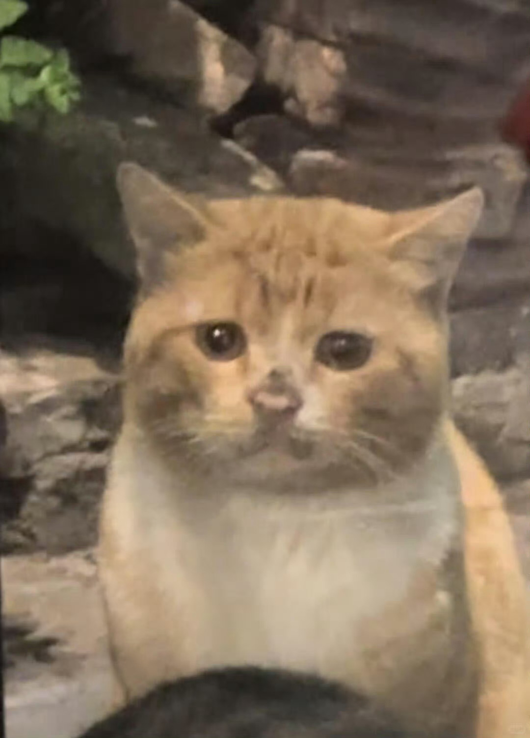 宋祖儿新戏路透来了脏脏包祖儿好萌啊觉得这个妆造像脏脏猫的简直神来的