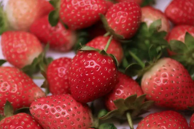 10元一斤和300元一斤草莓什么区别？1月22日浙江杭州，水果店员表示10元草莓