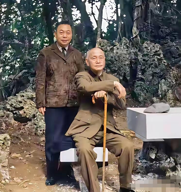 这父子俩都是自私自利的人，嘴上说一切都是为了党国，其实就是为了他们的小家而已。