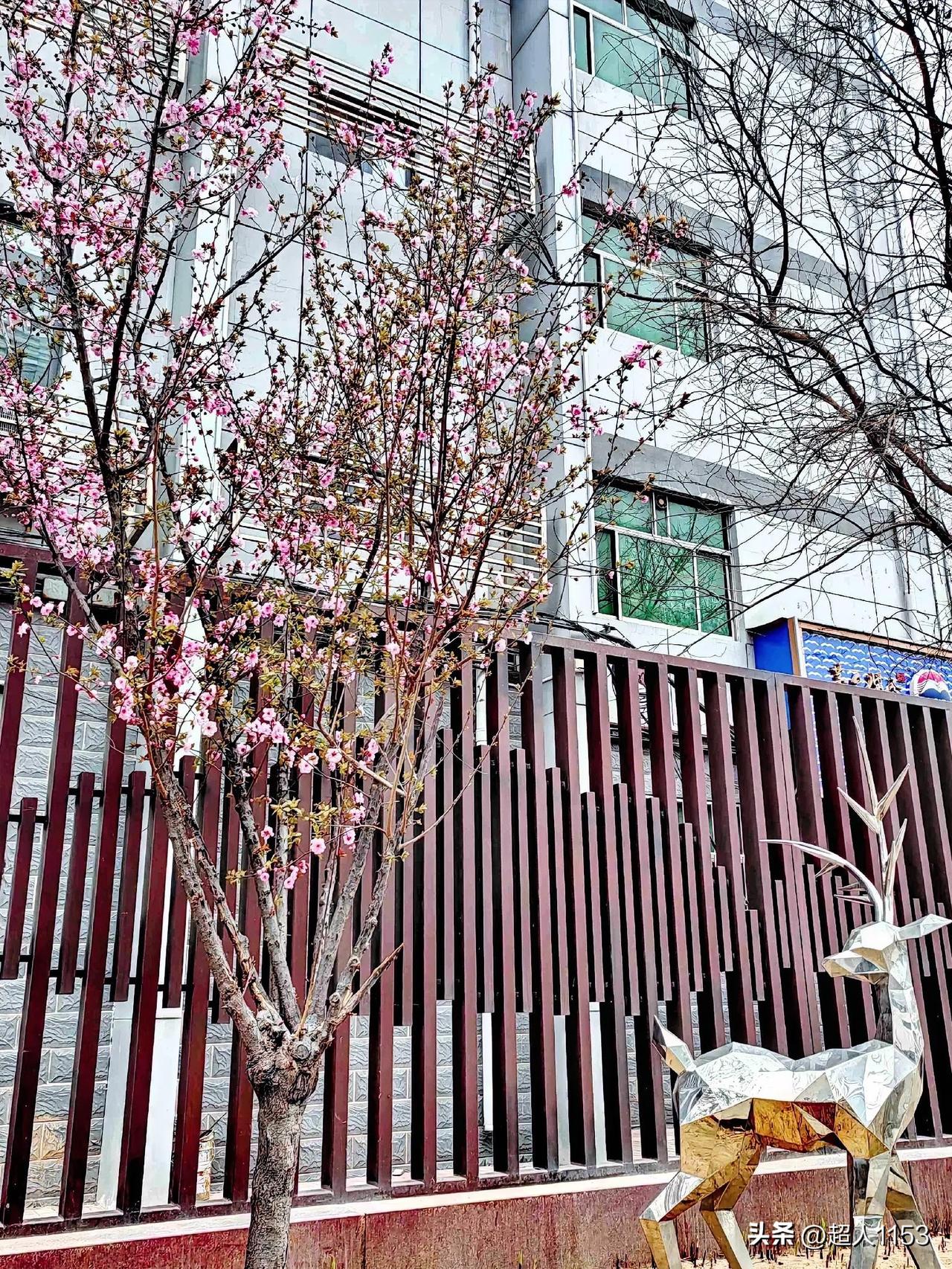 我的今日状态：😁轻松愉快
我这里的天气：☀️晴天

今天是周末了，
天气很好。