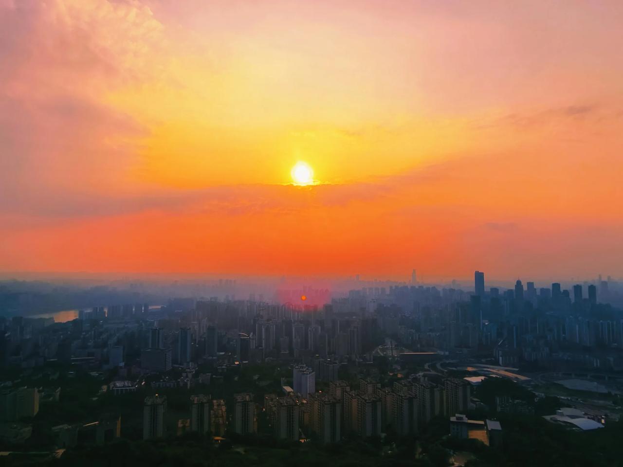 分享一张最近随手拍的照片