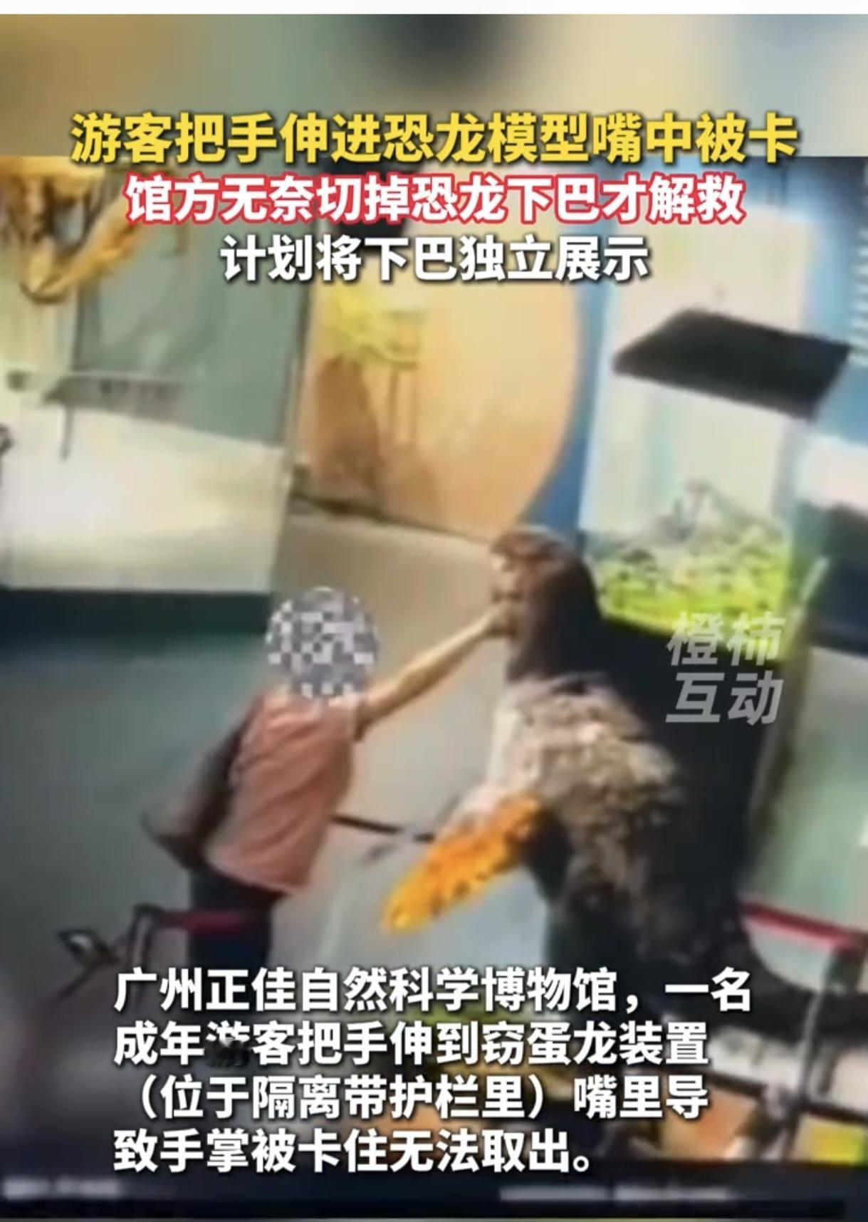 都是好奇心惹的祸呀！广州正佳自然科学博物馆里，成年游客越隔离栏，把手伸进窃蛋龙模