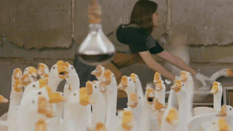 超越抓鹅的名场面我能循环一百遍！动作干净利落，姿态优雅从容，在众人都束手无策时轻