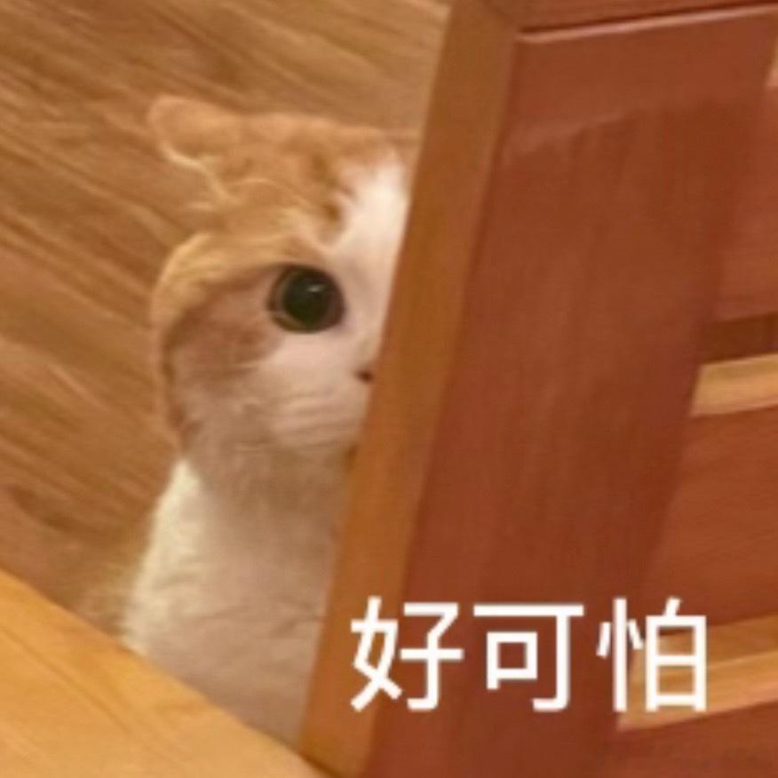 今年第五次来广东了 ​​​
