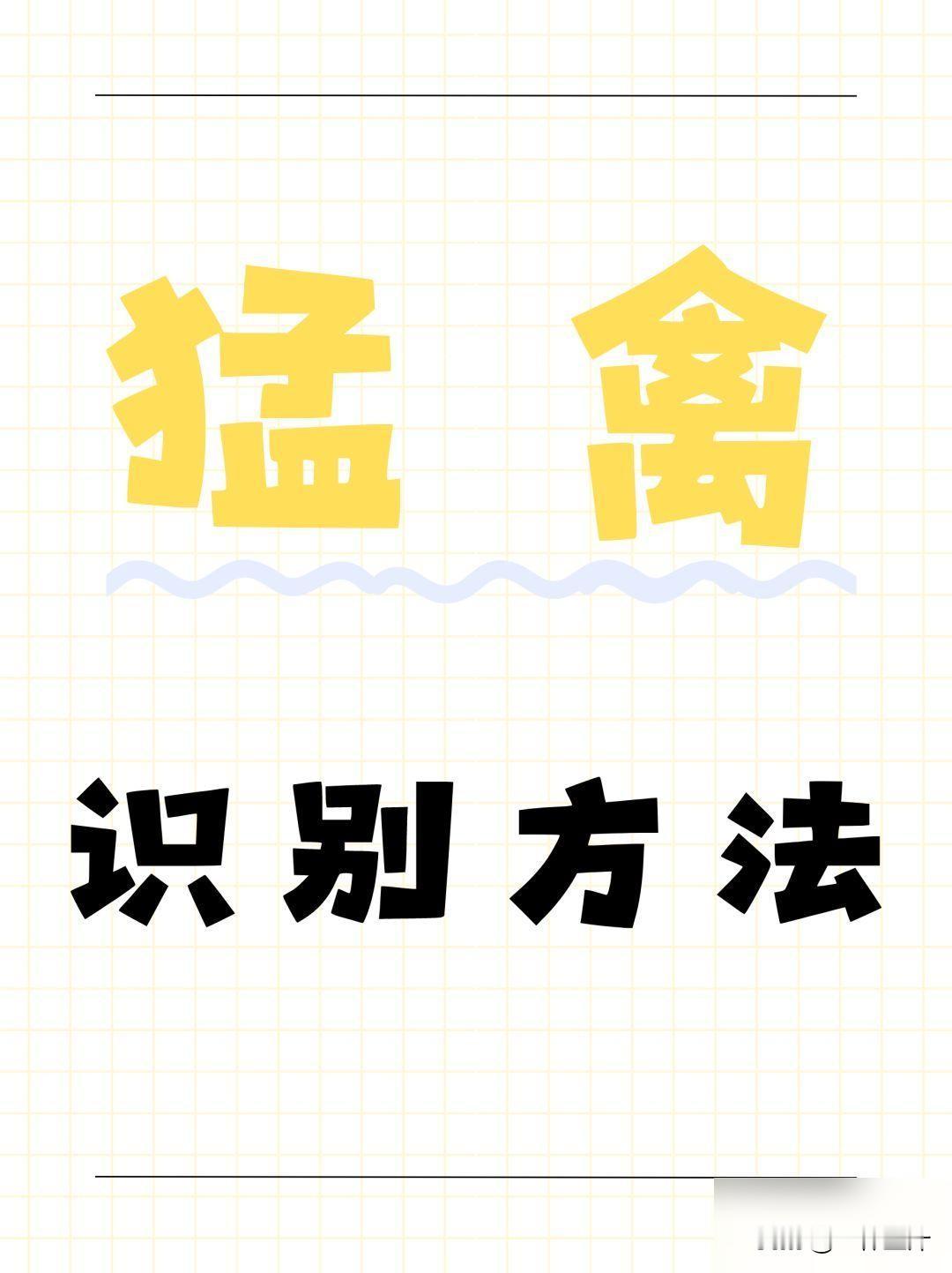 一些常见的猛禽辨识方法（鹰，隼）

一些常见猛禽的辨识特点，分享给大家 要说的话