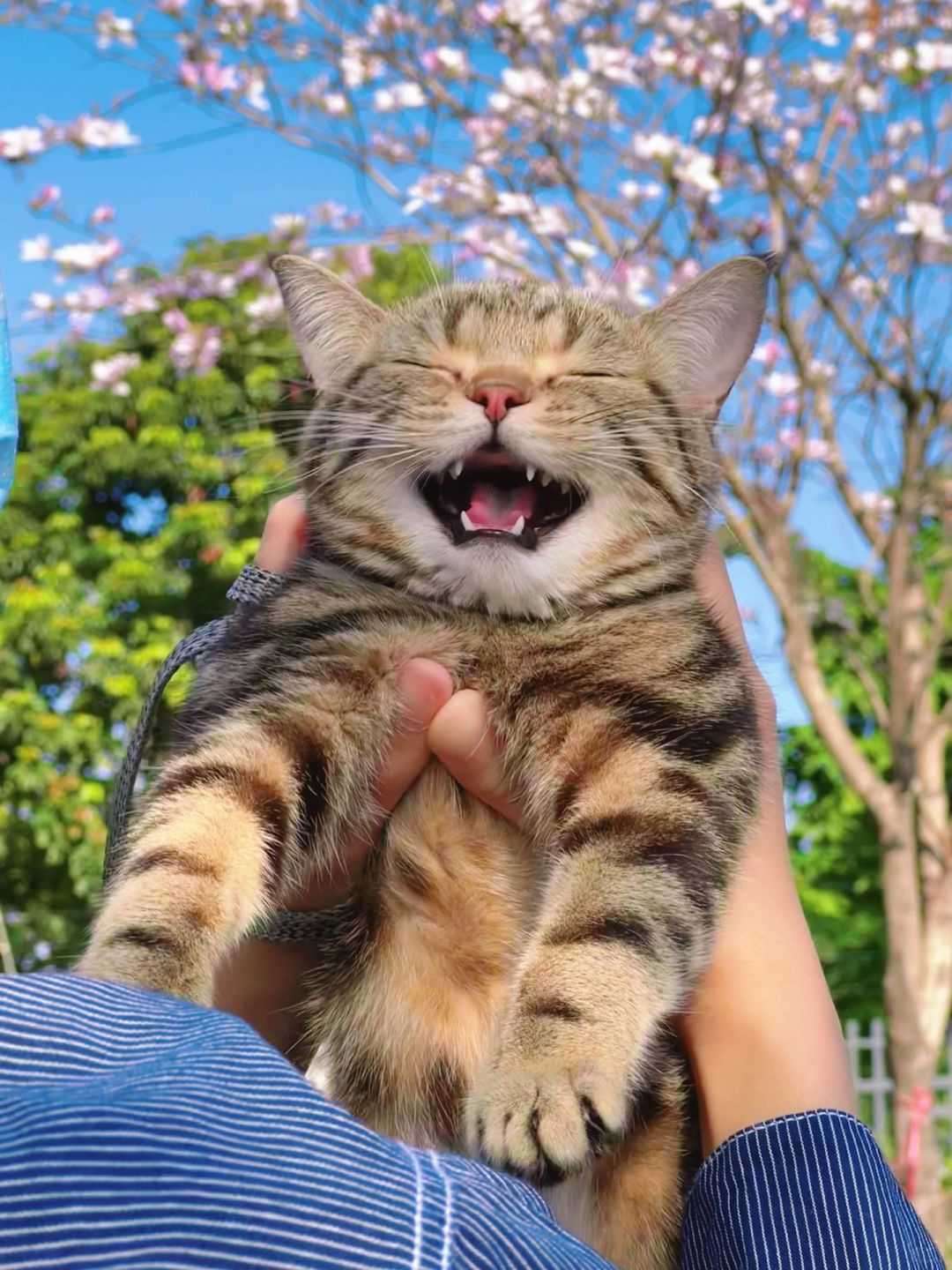 哪张照片最能俘获姨姨们的心呢？？