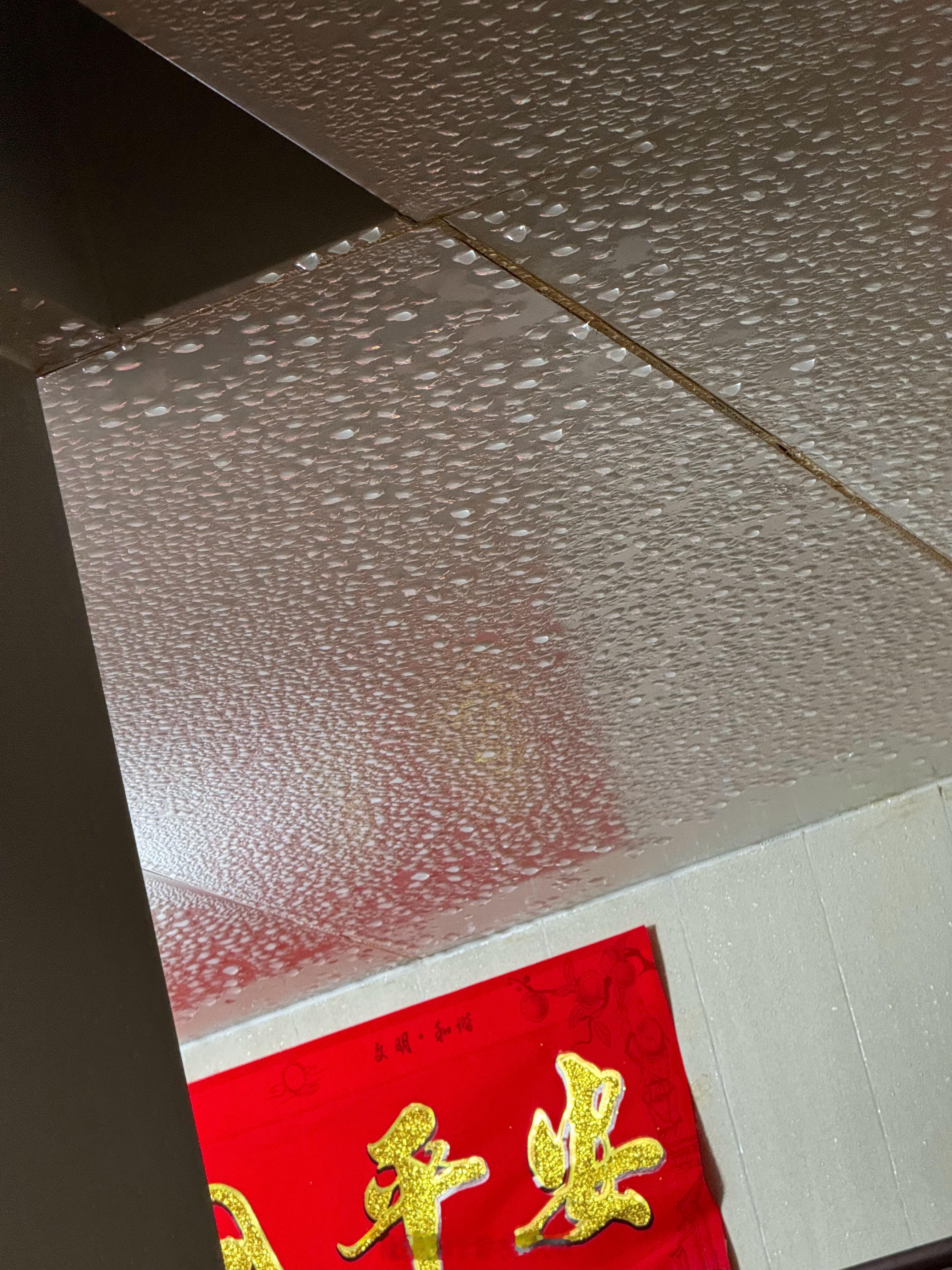 #回南天# 算了，再忍忍。 ​​​