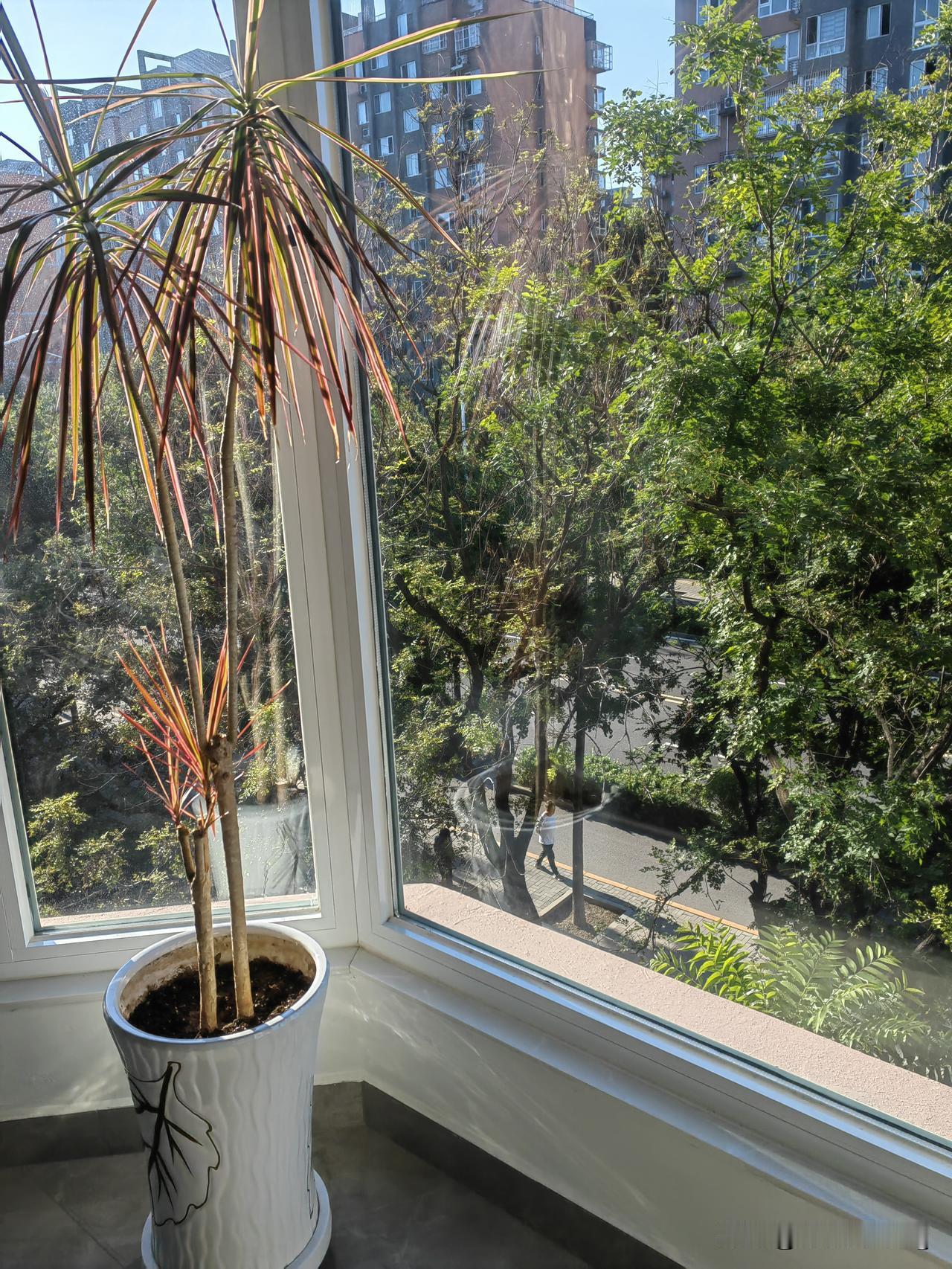 想了一晚，老公最终还是决定去市局下属那个单位，不再等区县分配了。

昨晚刚得知能