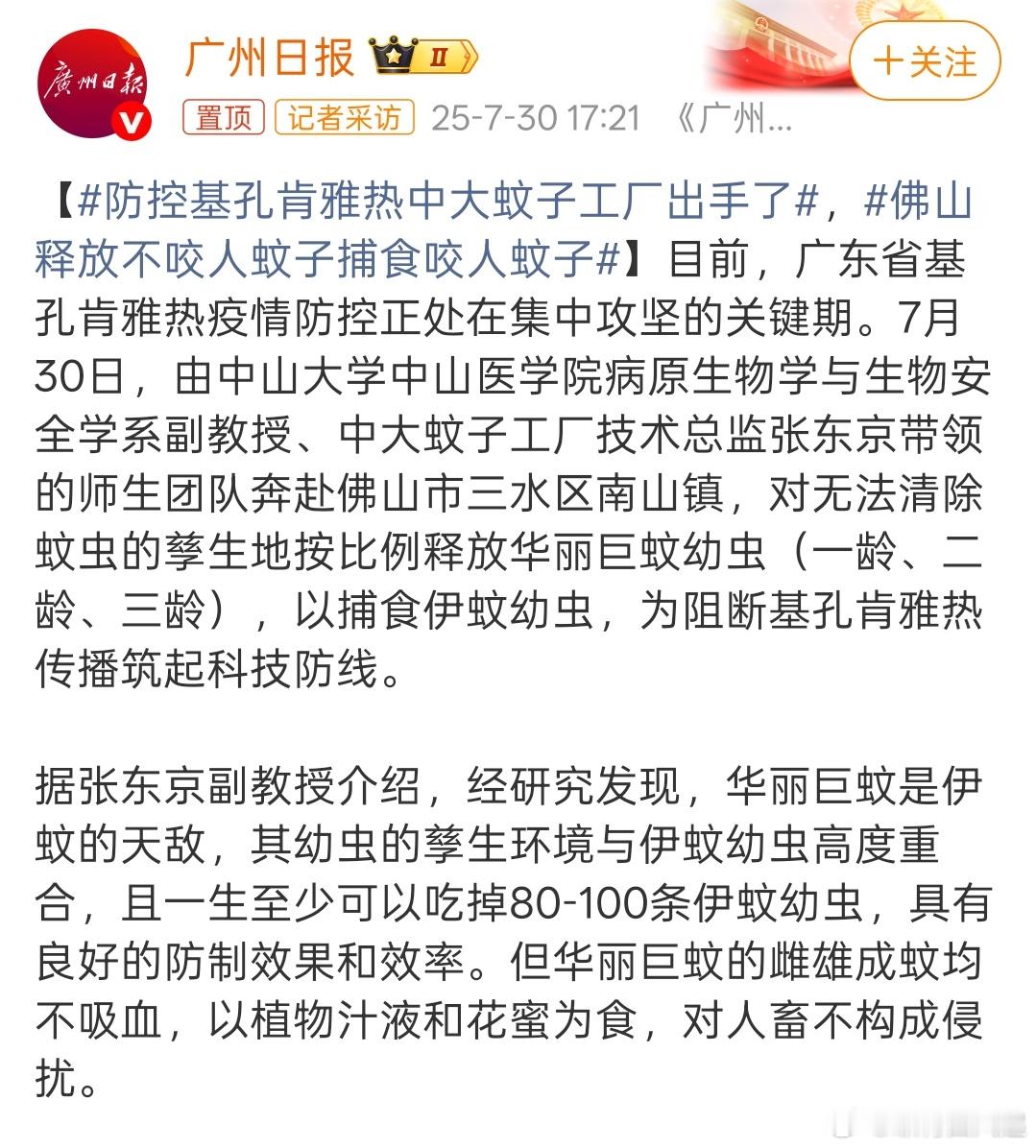 佛山释放不咬人蚊子捕食咬人蚊子竟然还可以让蚊子内斗咬蚊子，也是开眼了[求饶]防控