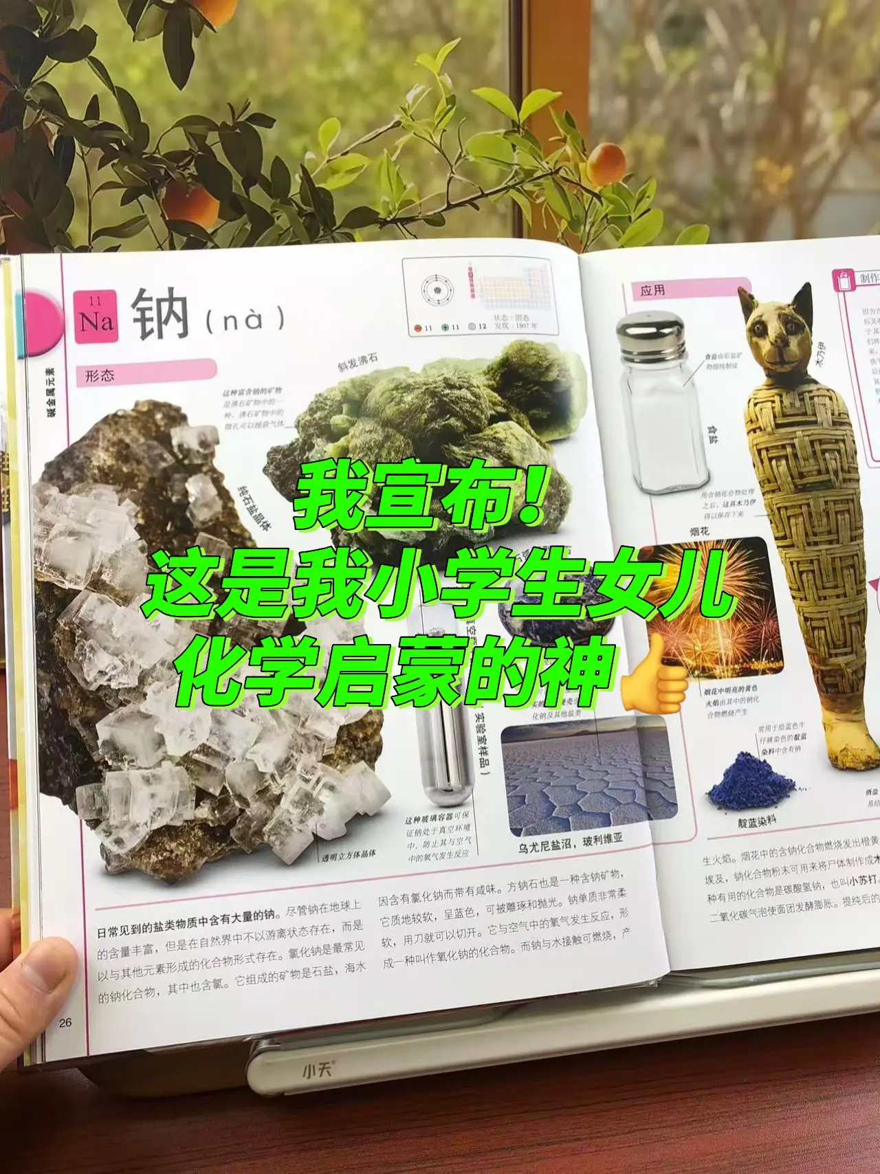 DK出品从未让人失望过👍。小学生用来启蒙，初高中用来学习，DK系列从...