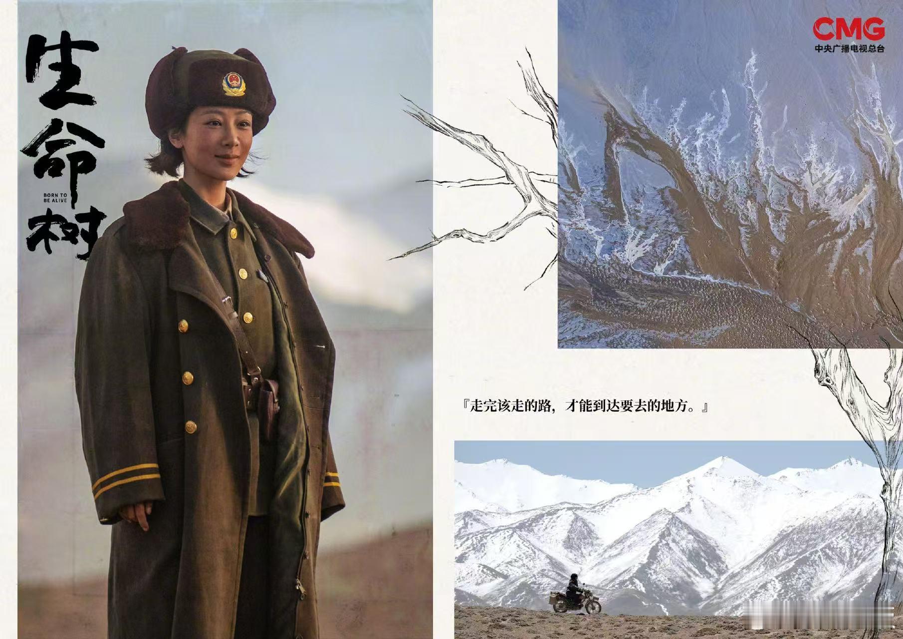 cctv电视剧发了生命树生命树物料审美生命树物料审美，绝，狠狠期待了 ​​​