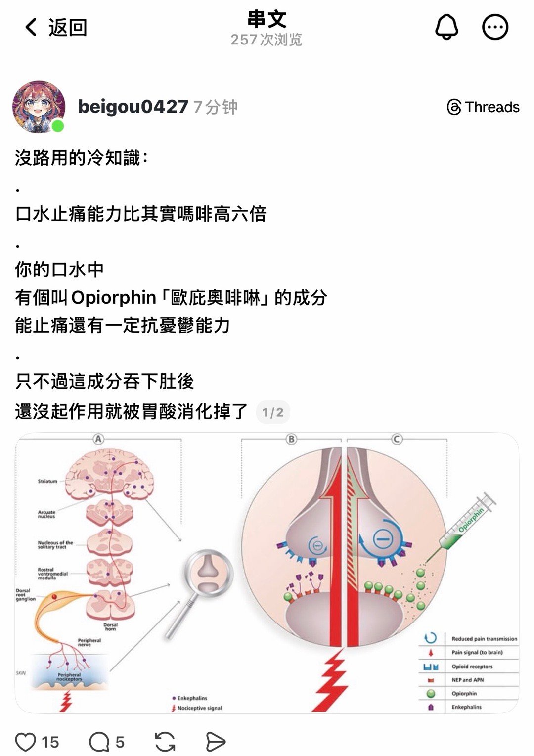 你是说，我把我的胃摘了，我就可以永远不再抑郁吗？ 