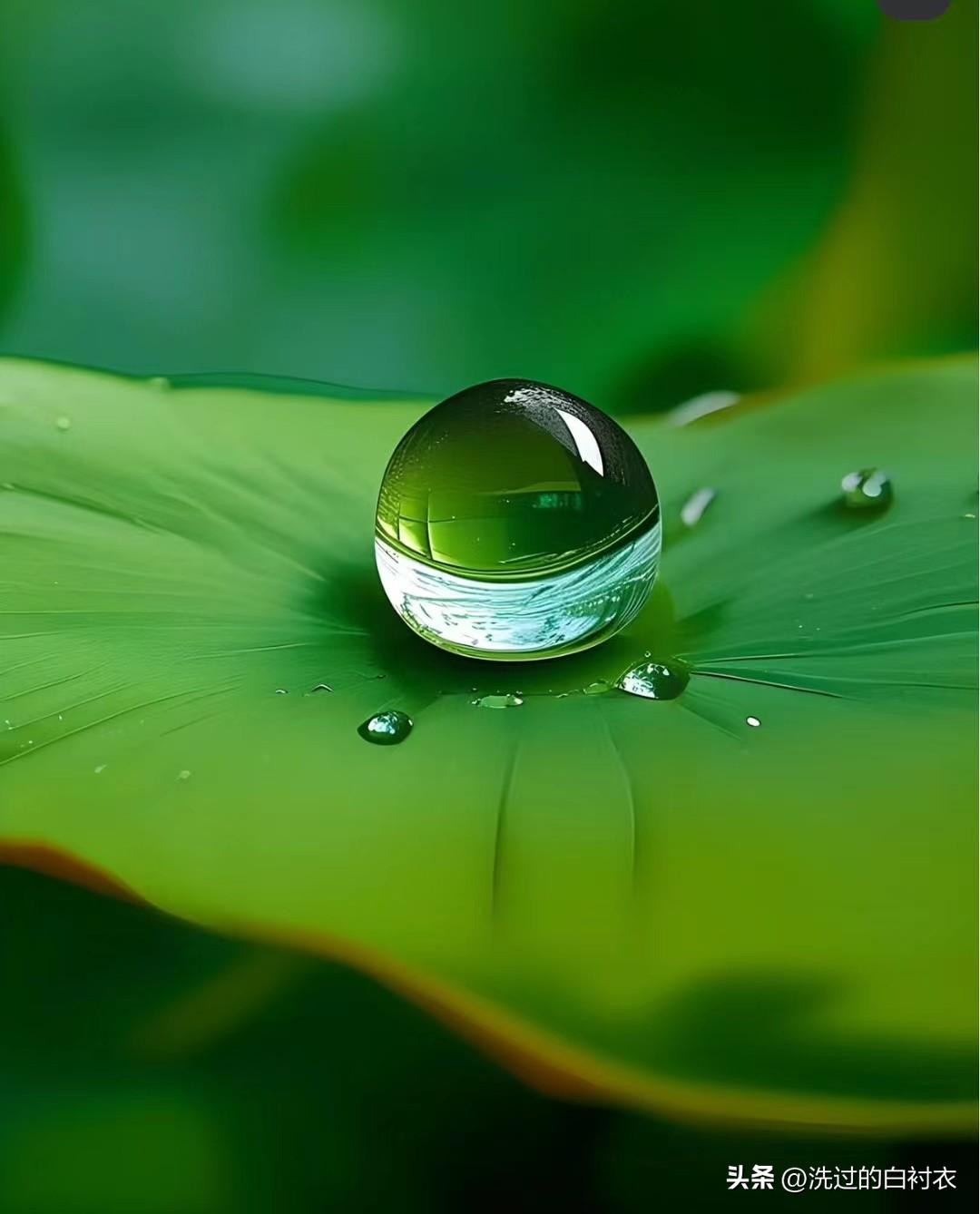 我认为越少越好。
我年轻的时候好朋好友，长大了更是“朋友遍天下。”随着岁月的积淀