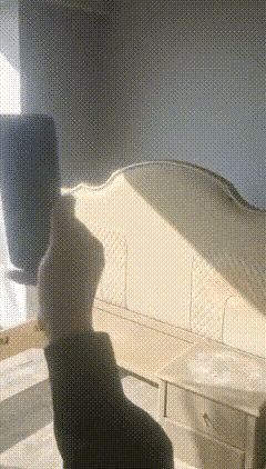 惨剧！看着新闻，吓出一身汗，这睡在床上，祸从天降，凌晨3点的狂风暴雨，让睡在床上