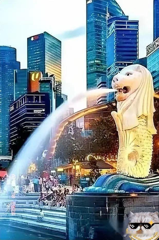 新加坡有条规矩，狠得让人后背发凉。
它不问一个官员收了谁的钱，也不在乎饭局上谁给