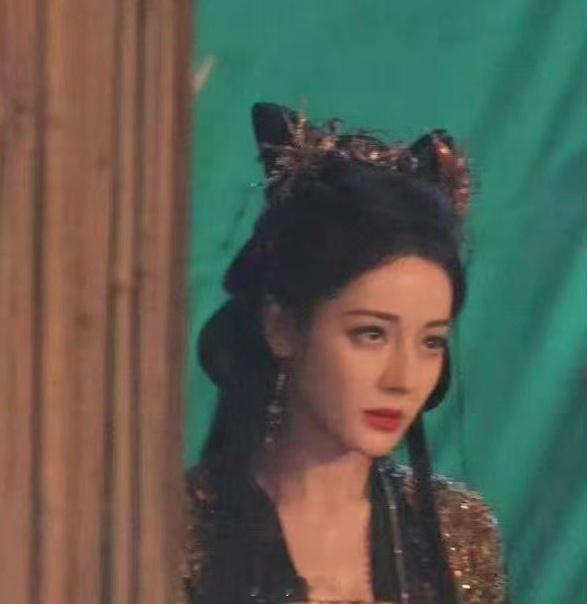 热巴不像猫像狮子 或者缅因猫 