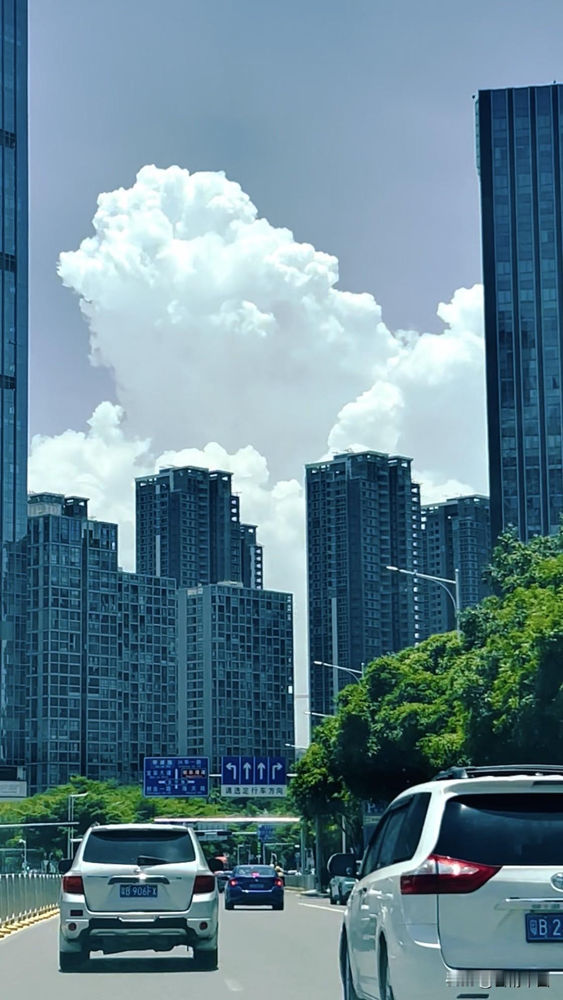 取景由心，境界由我。 镜头是对生活的临帖，定格是对人生的落款。无论外界如何喧嚣，