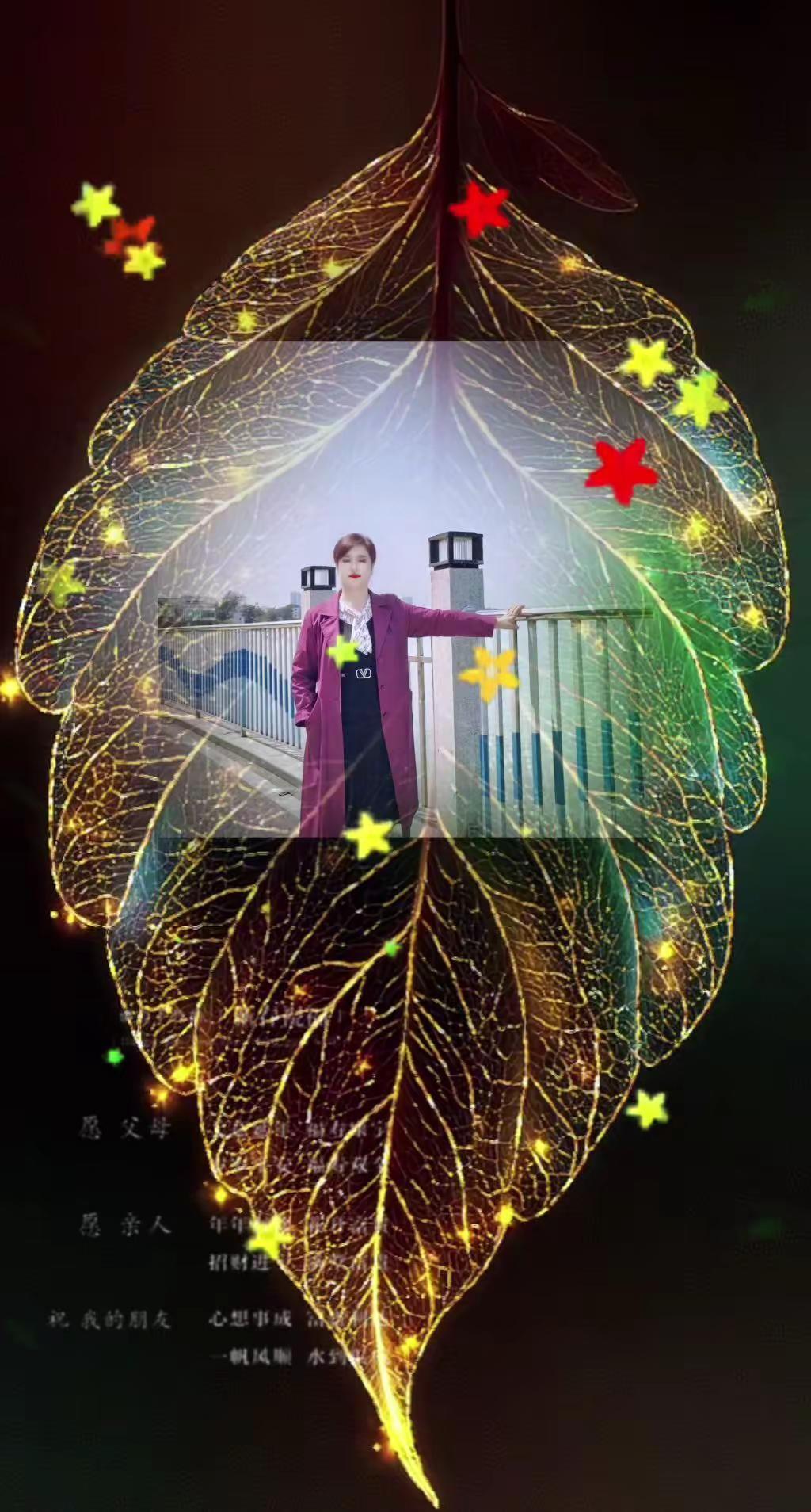 我也跟个风吧！