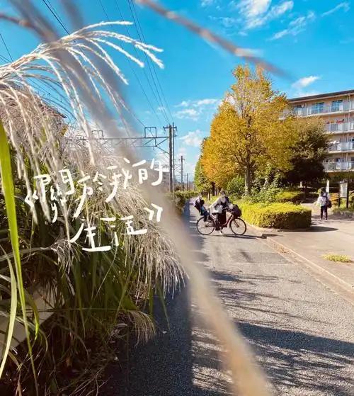 你有收获就是我最大的收获//@沙莎观古今:今天多赚一点小钱，看透一件小事的人情，