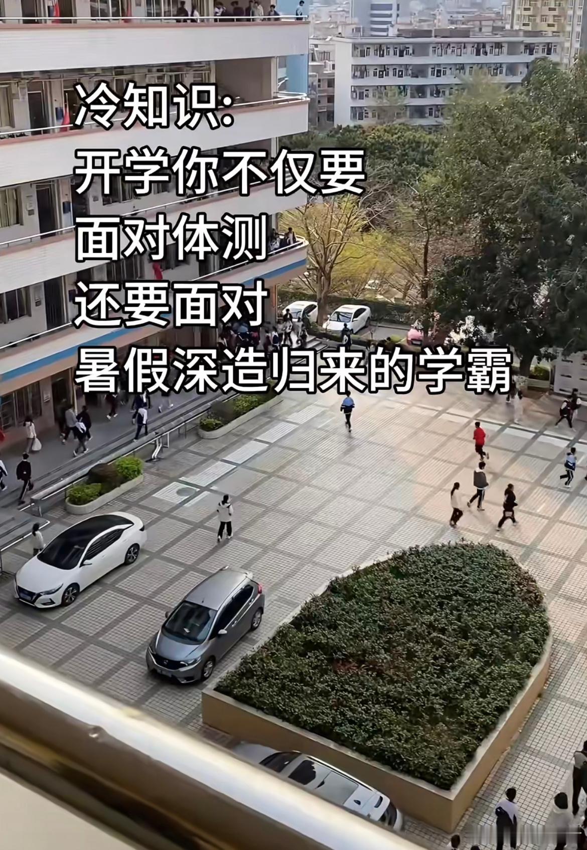 开学不仅要面对体测 还要面对暑假深造回来的学霸 ​​​