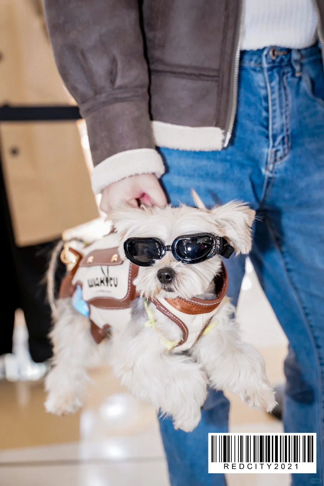 🕶墨镜一戴，谁也不爱