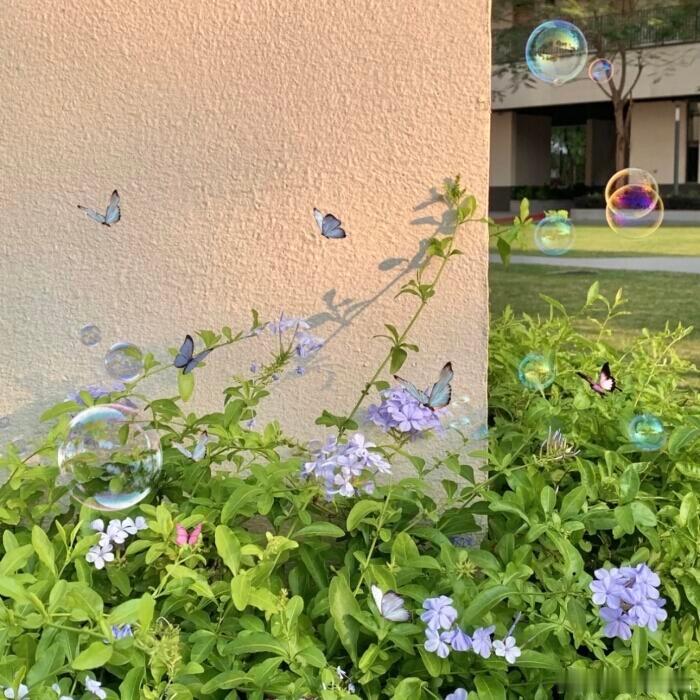 走过半生，看过太多人在低谷里挣扎，在遗憾中纠结，在焦虑里内耗，总想着寻一剂灵丹妙