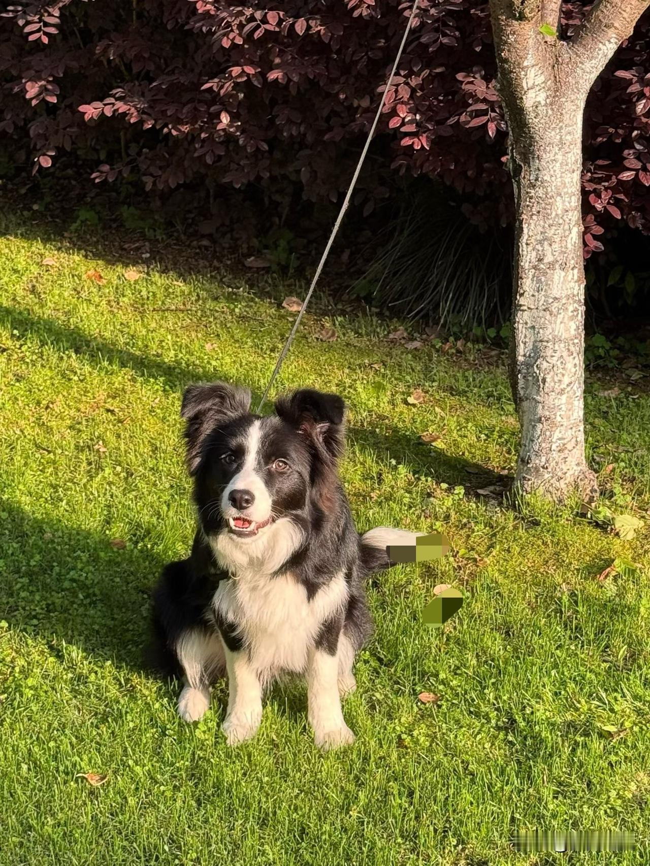 【小对联】
上：……？
下：天生。