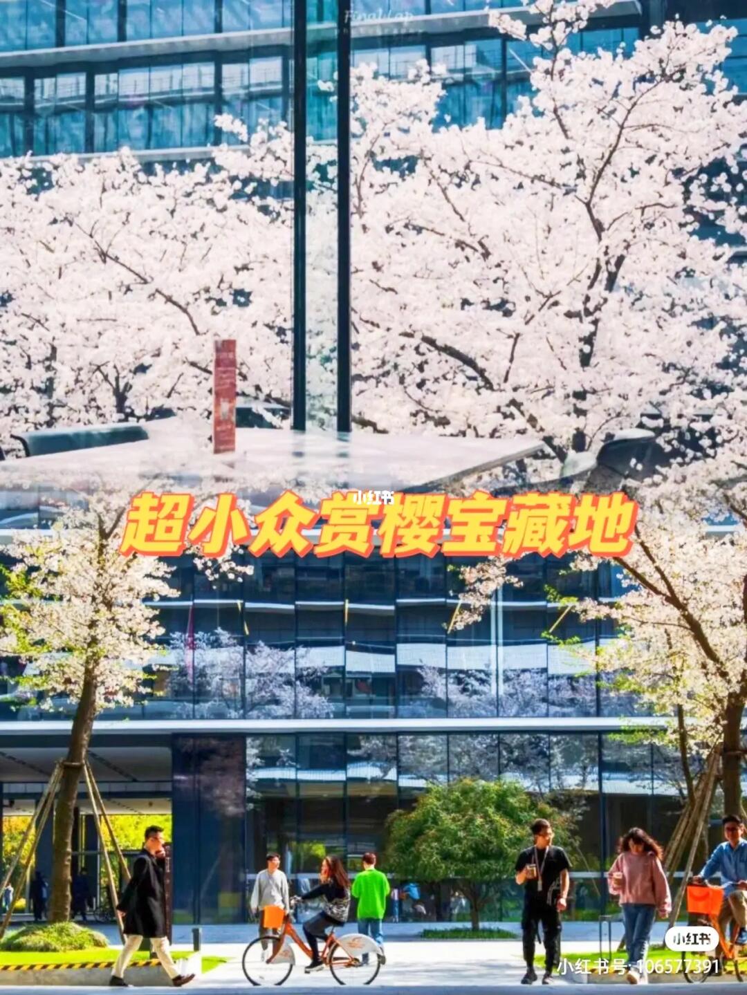 救命！我找到了杭州最浪漫的樱花食堂