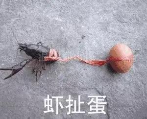 别碰高位泡沫科技！