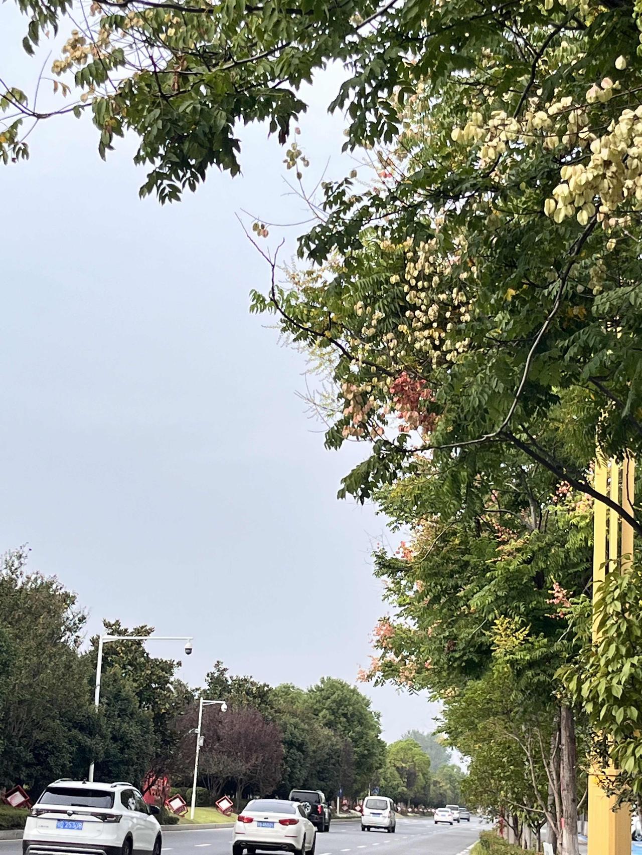 以革新铸长城，以初心守荣光

当勒布伦直言外协正逐步挑战国乒统治，当张本智和、莫