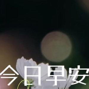 早安心语 世界辽阔，我以温柔来拥抱它 抬头看，风正吹向你想去的远方 珍惜眼前 认