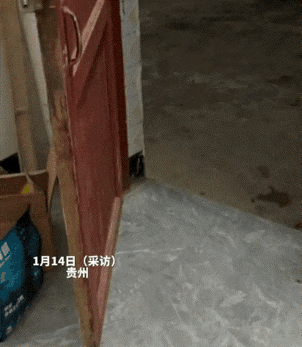 贵州，一女子发现自家猫咪在吃晚饭时，听到院子里有声音后，便探出头去查看情况，随即