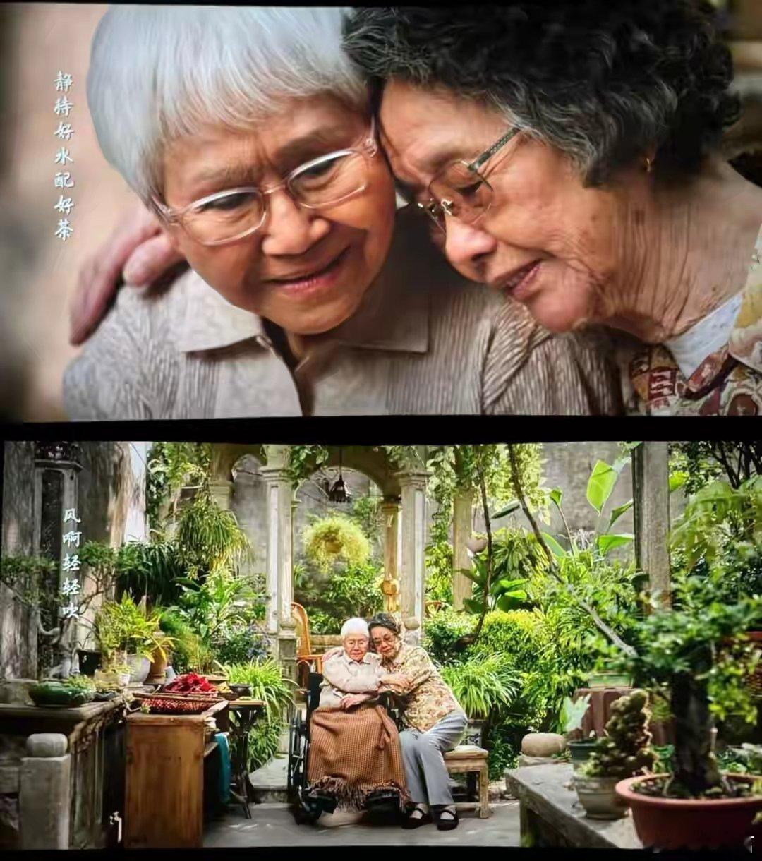 给阿嬷的情书 屏摄我们总以为，这是跨越山海的夫妻深情，可直到故事真相揭开，才让人