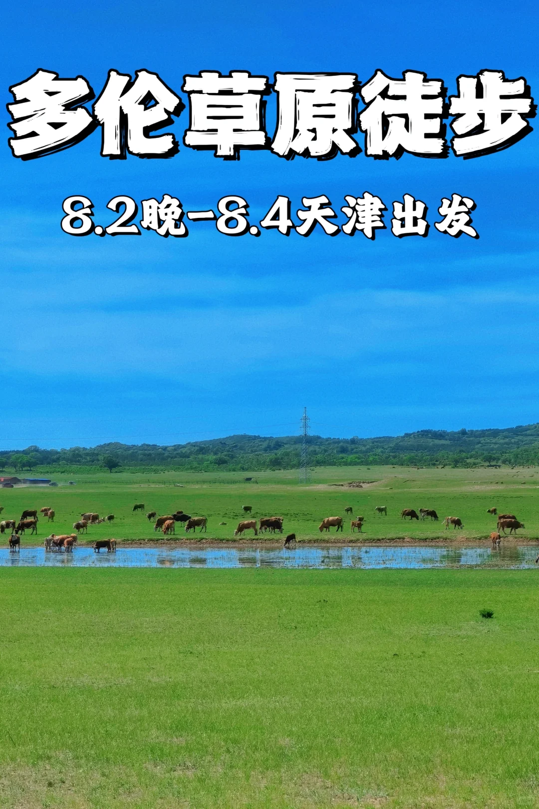 越野车穿越，草原漂流，大草原无垠的夏绿